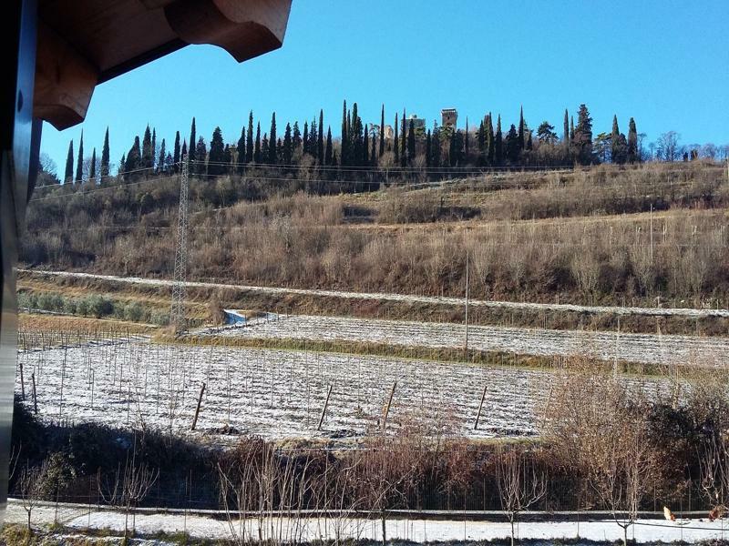 Agriturismo Corte Carolina Werona Zewnętrze zdjęcie